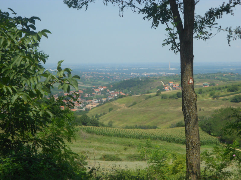 Fruška gora